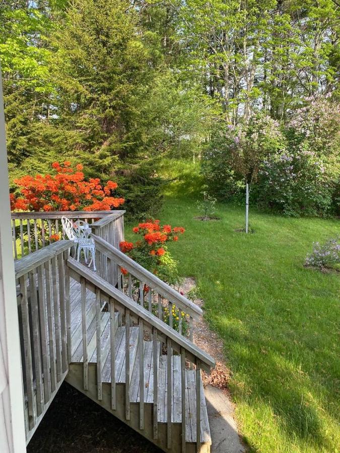 Sea La Vie Apartman Mahone Bay Kültér fotó